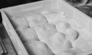 Sonata pizza flour dough rising